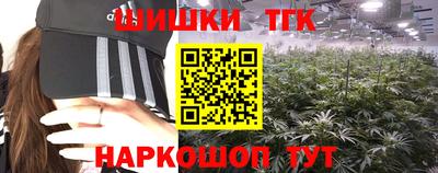 сатива Коммунар