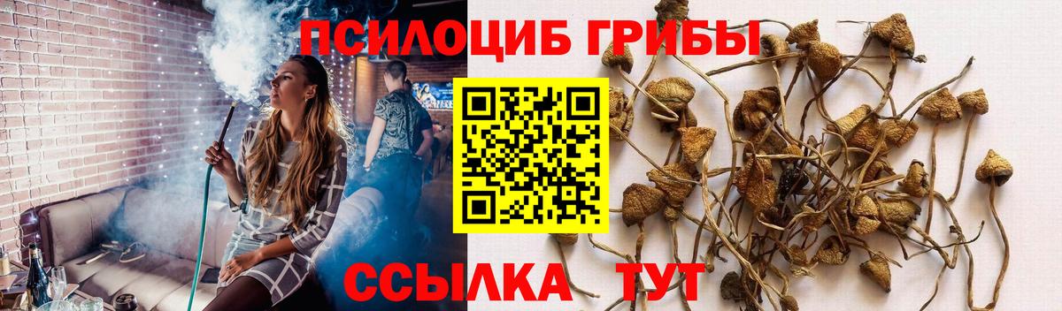 Галлюциногенные грибы Psilocybine cubensis  магазин продажи   Костомукша  Вход с VPN 