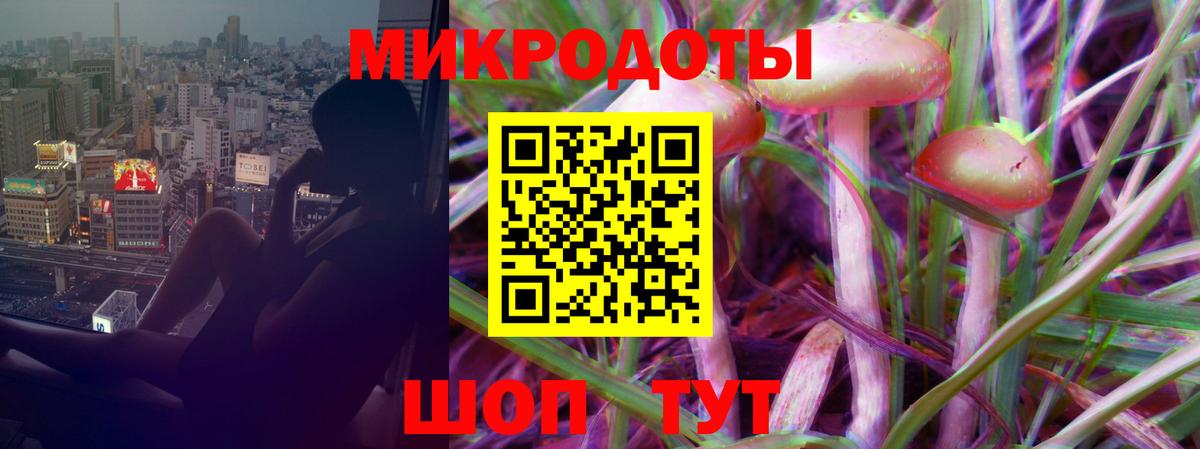 Галлюциногенные грибы Cubensis Костомукша